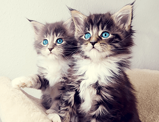 低空無人機(jī)測(cè)繪：高效、精確、廣泛應(yīng)用的新興技術(shù)